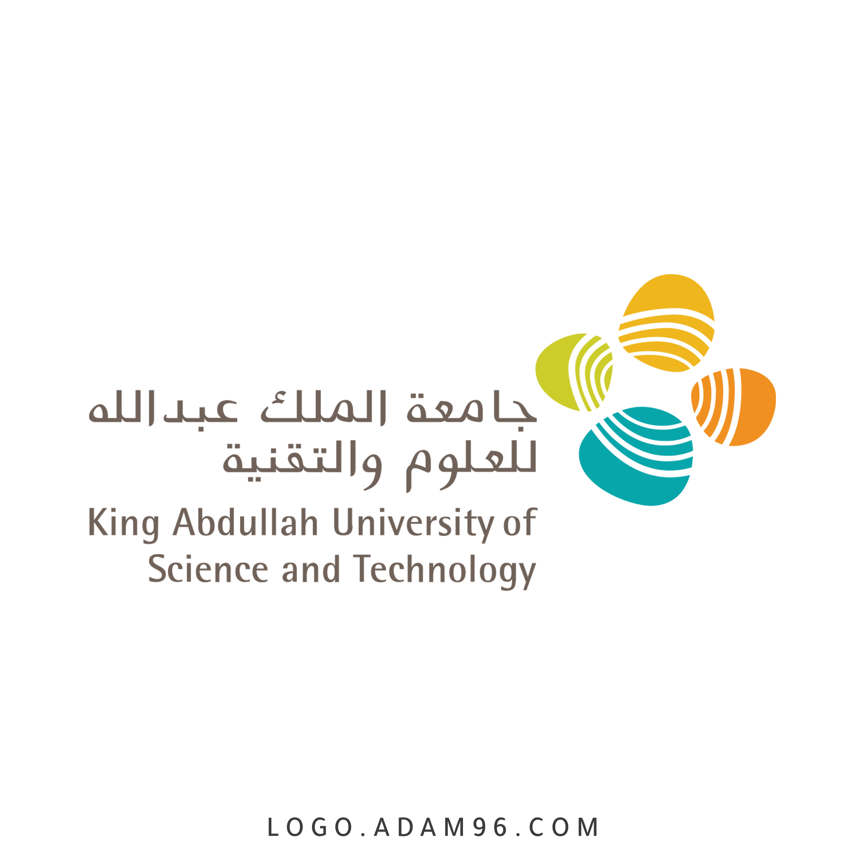 جامعة الملك عبدالله